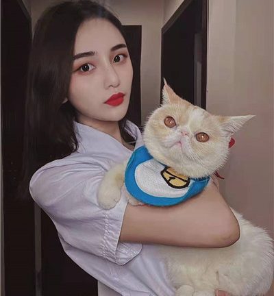 上海阿拉城在哪里